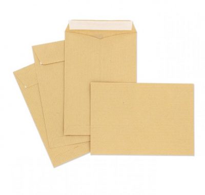 CAJA 500 BOLSAS 80 GRAMOS 100 x 145  KRAFT 21120049