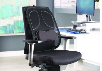RESPALDO LUMBAR MESH PROFESSIONAL  SERIES 8029901
