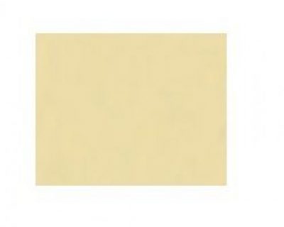 PAQUETE 100 HOJAS PAPEL VERJURADO 220  GRAMOS CREMA 3155229