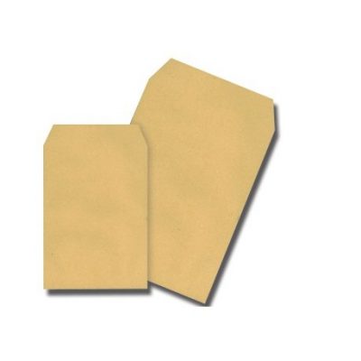 CAJA 1000 BOLSAS ADHESIVAS 70 GRAMOS  120 x 170 KRAFT 21132049
